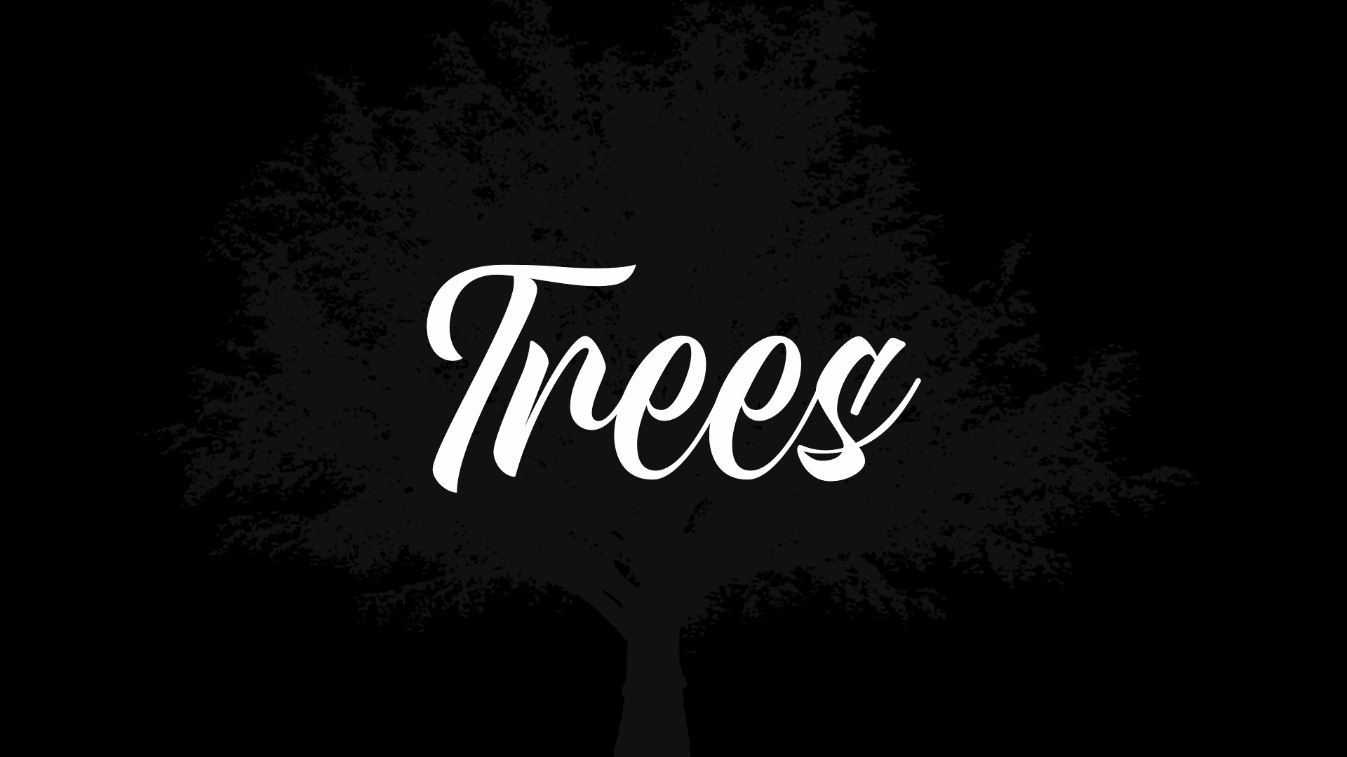 Trees Video Thumbnail